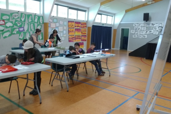 Education Programme Activity